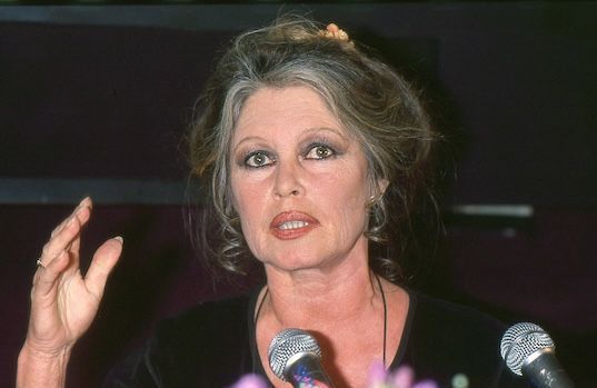 Mort de Brigitte Bardot : ses derniers instants dévoilés, aux côtés de son époux Bernard d’Ormale