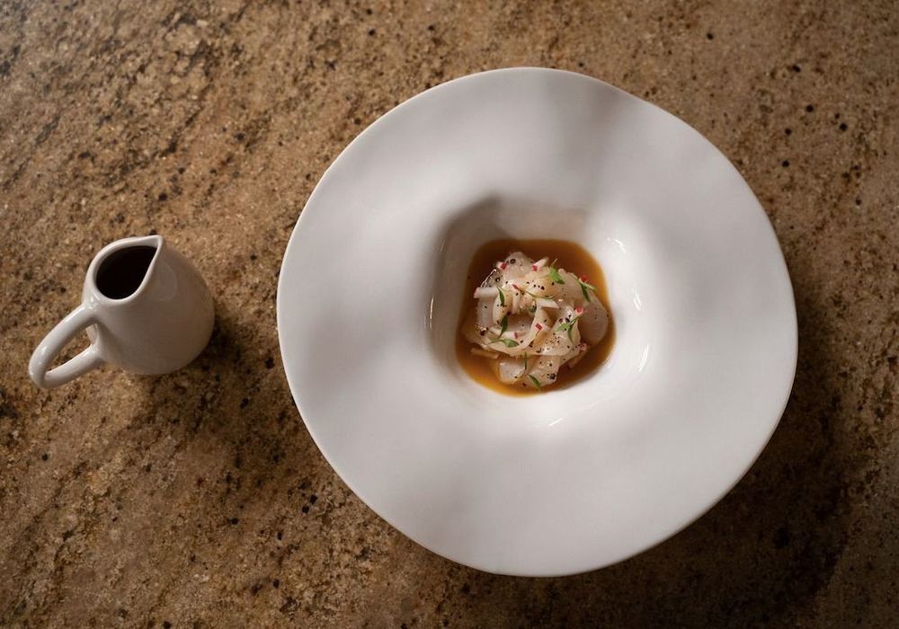 La plus belle façon de cuisiner la coquille Saint-Jacques pour les fêtes