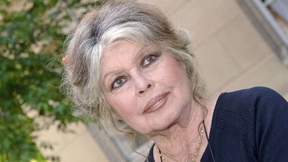 Héritage de Brigitte Bardot : sa Fondation règle ses comptes, "Pas comme chez les Delon..."