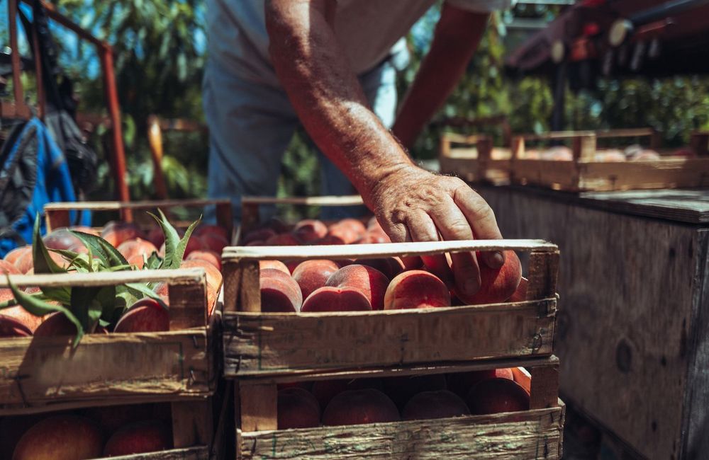 Vous ne devinerez jamais quel ingrédient fait murir plus vite les fruits