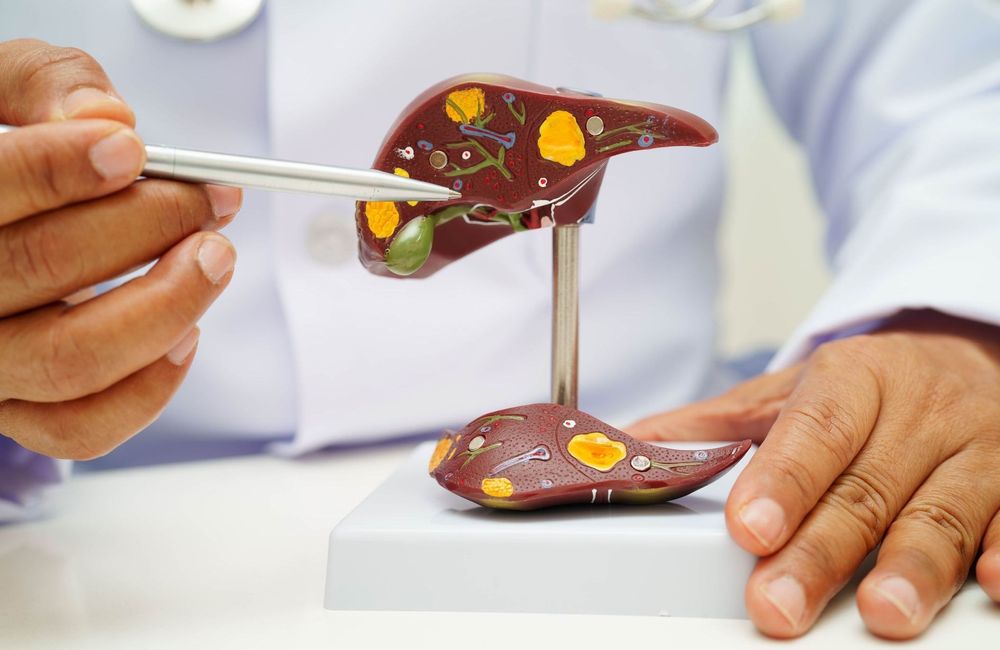 Ces facteurs qui pourraient permettre d'éviter 15 millions de cancers du foie