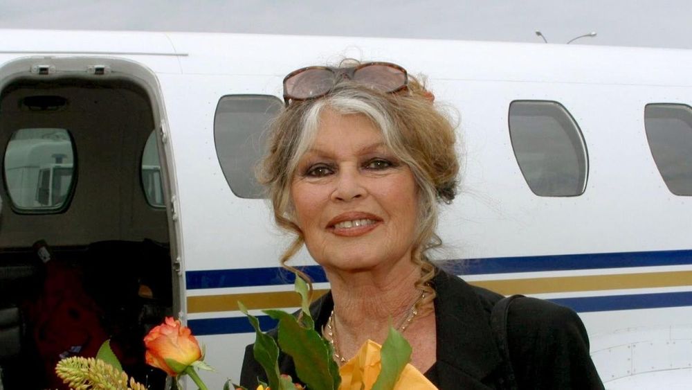 Brigitte Bardot (90 ans) sans pitié pour ce peuple en France : "La barbarie dans leurs souches"