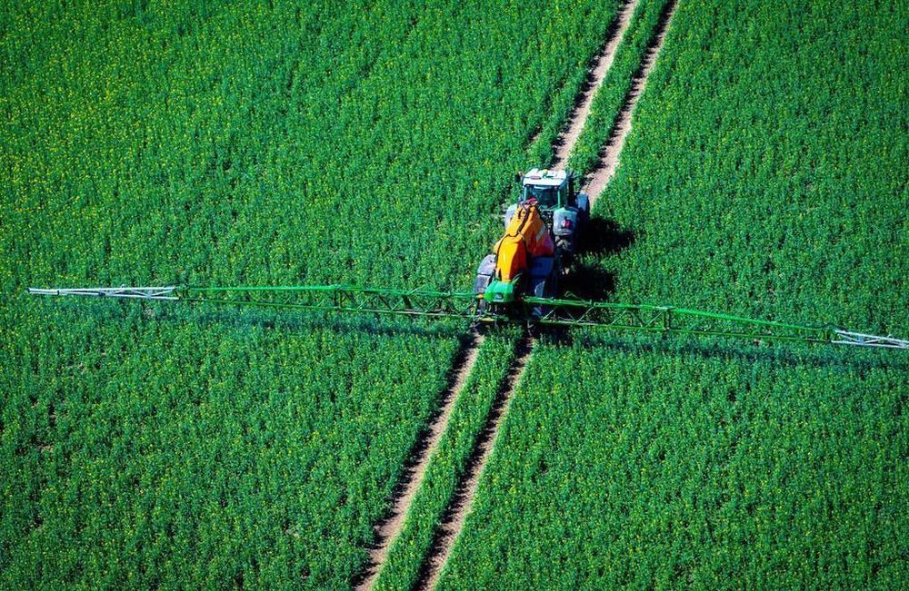 Pesticides : quels sont les risques pour les enfants, signalés par l’Anses ?