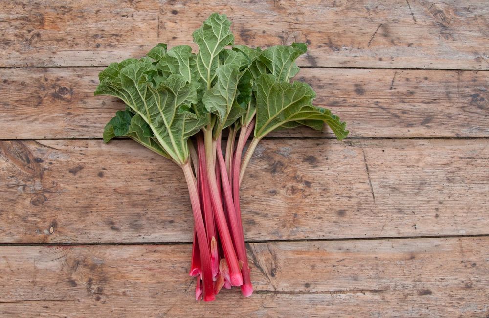 Comment savoir si la rhubarbe est mûre ?
