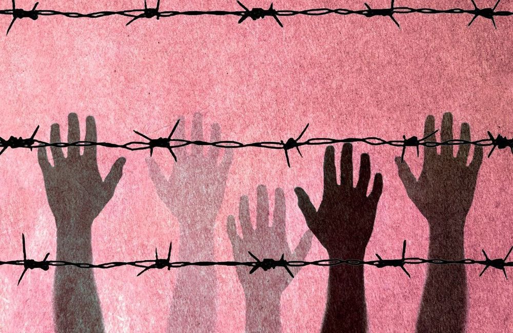 Violences sexuelles : les migrantes en situation irrégulière face à un système de protection défaillant