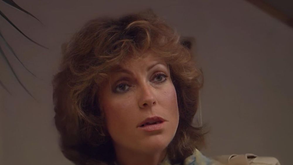 Chantal Nobel défigurée : ce terrible drame avec Sacha Distel qui a brisé "sa vie", ses déchirantes confidences avant sa mort