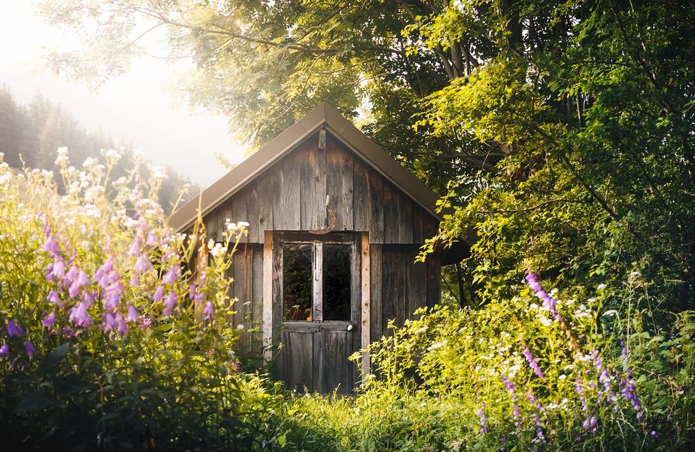 Qu’est-ce que le « jardinage du chaos », pour un beau jardin sans effort ?