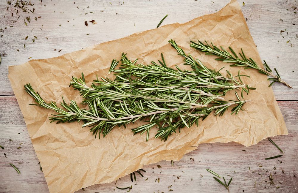 Le romarin, l’allié naturel pour assainir et protéger sa maison
