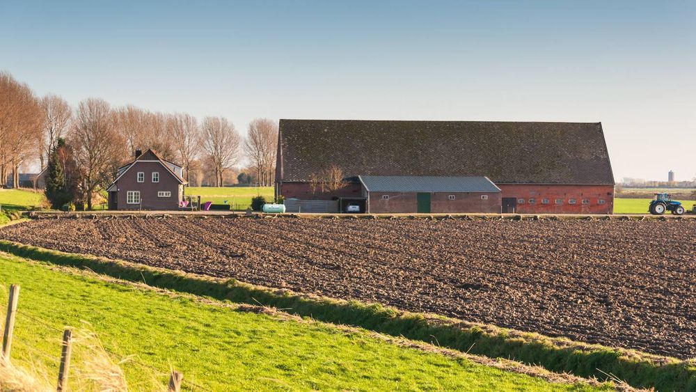 Placement : ces départements où le foncier agricole rapporte toujours plus que le Livret A