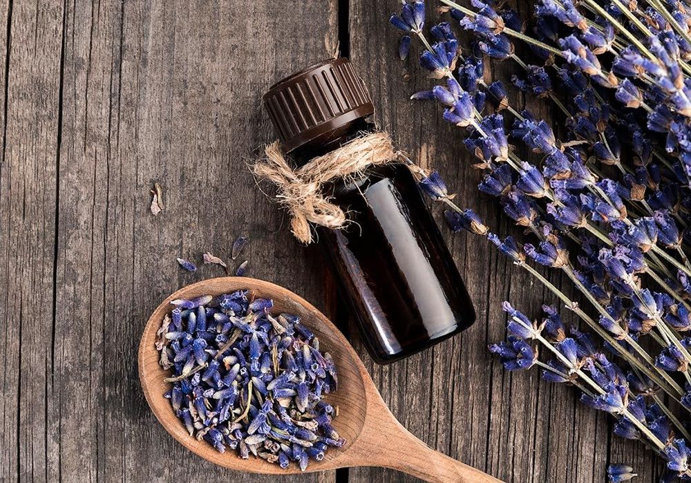 3 astuces écolos pour neutraliser les mauvaises odeurs