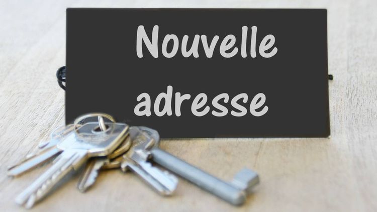 Impôt : déménagement en 2023 ou 2024, nouvelle adresse... Les cases spéciales à (bien) remplir