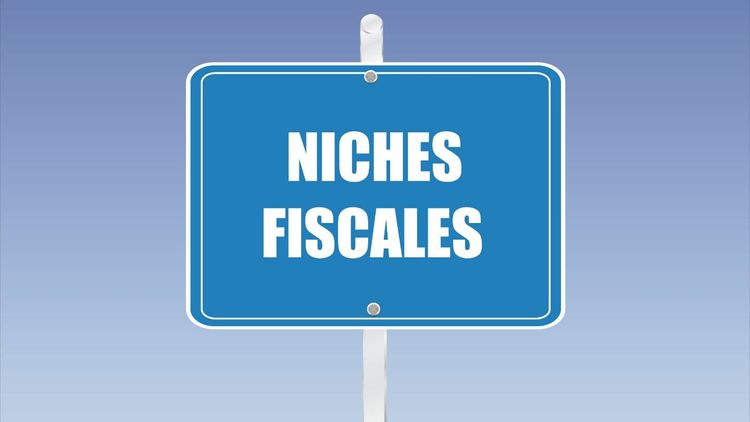 Impôts : carburant, frais de scolarité... Ces 23 niches fiscales sont sur la sellette, allez-vous y perdre ?