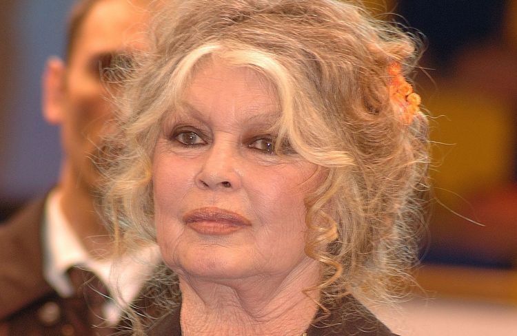 Brigitte Bardot : ses bouleversantes confidences sur ses tentatives de suicide