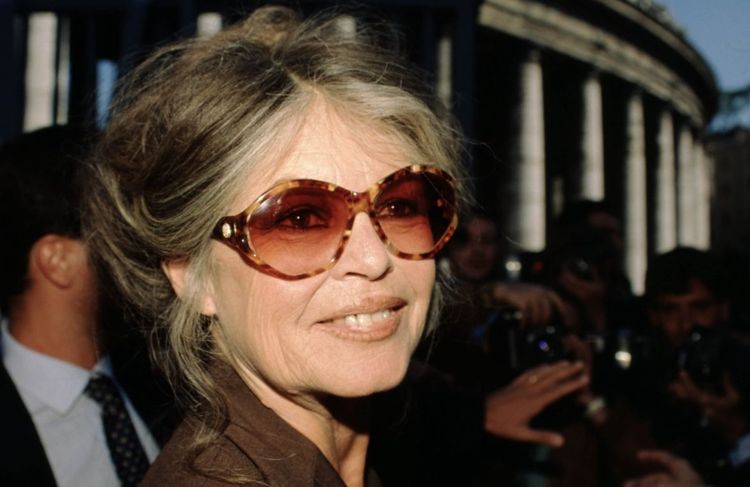Brigitte Bardot : son époux Bernard D’Ormale fait de rares confidences sur son fils unique Nicolas