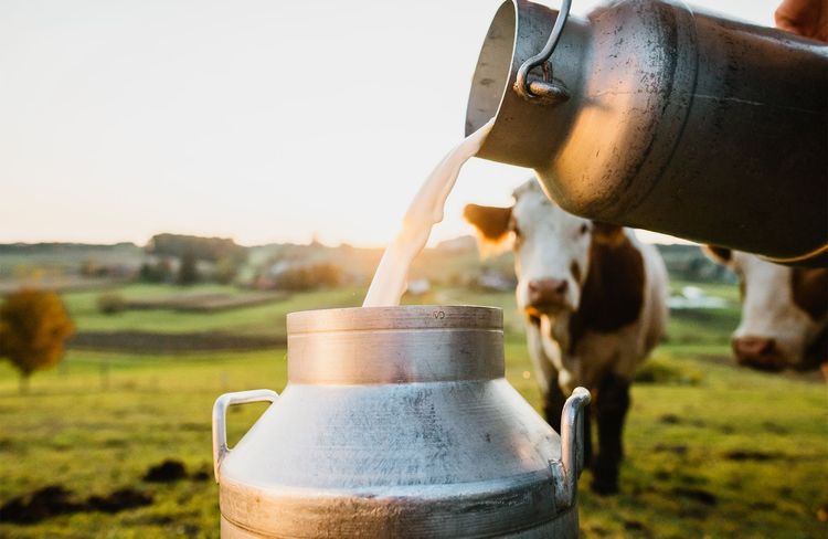 Fini le gaspillage : découvrez cette astuce pour conserver le lait plus longtemps