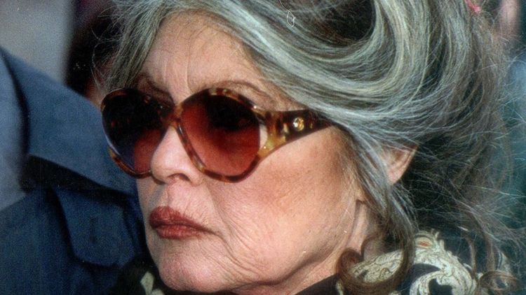"Elle est dure" : Brigitte Bardot visée par les critiques d'Amanda Lear