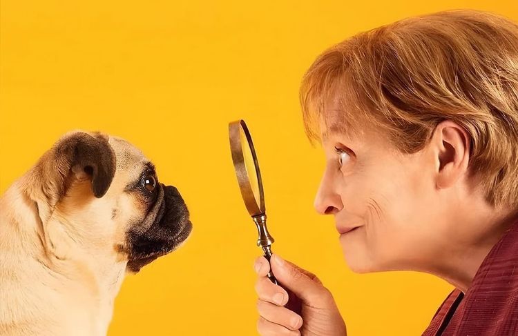 « Miss Merkel » : à la télévision italienne, l'ancienne chancelière devient une détective
