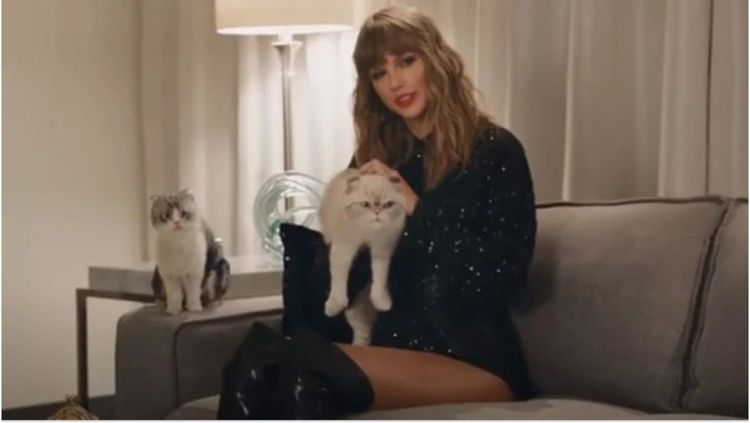 Sous le charme d'un chat abandonné sur un tournage, Taylor Swift a pris une décision radicale