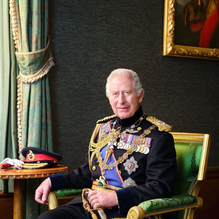 Charles III : un nouveau portrait dévoilé, les internautes conquis