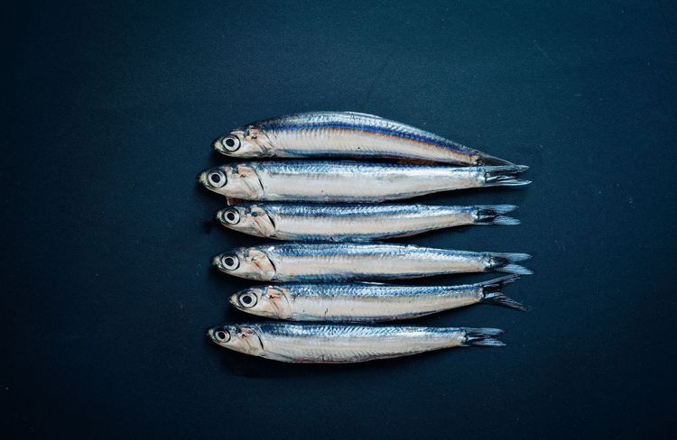 Pourquoi toutes les it-girls mangent-elles des sardines ?