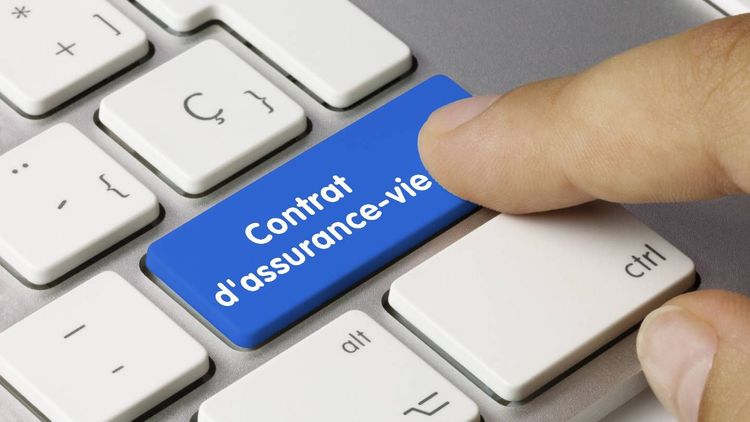Assurance vie : « Quand vais-je voir mes intérêts 2024 sur mon fonds en euros ? »