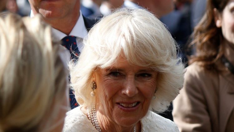 Camilla Parker-Bowles en petite tenue, couronne au sol et verre à la main : ces photos enflamment la Toile