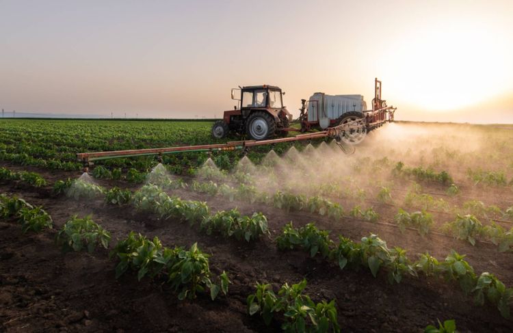 Qu’est-ce que l’acétamipride, ce pesticide dangereux que le Parlement veut réautoriser ?
