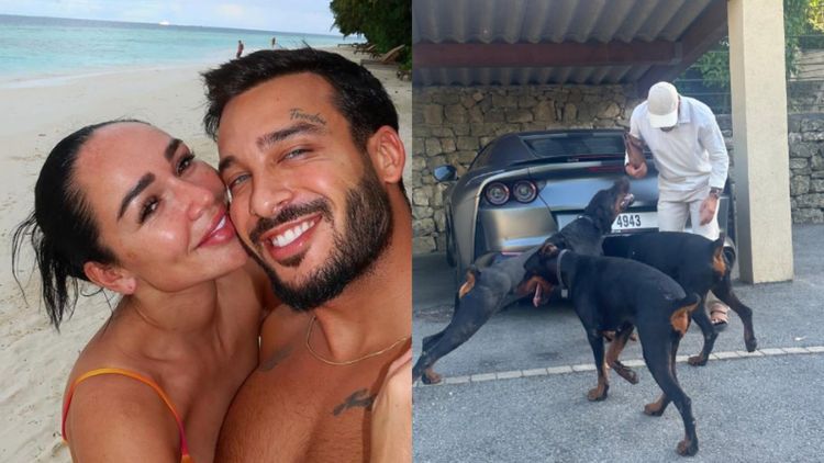 Jazz et Laurent Correia : accusés du pire, leurs chiens sont retrouvés errants sur une route, ce que l’on sait