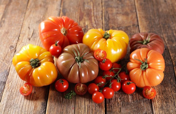 Quelle est la différence entre les tomates rouges, noires et jaunes ?