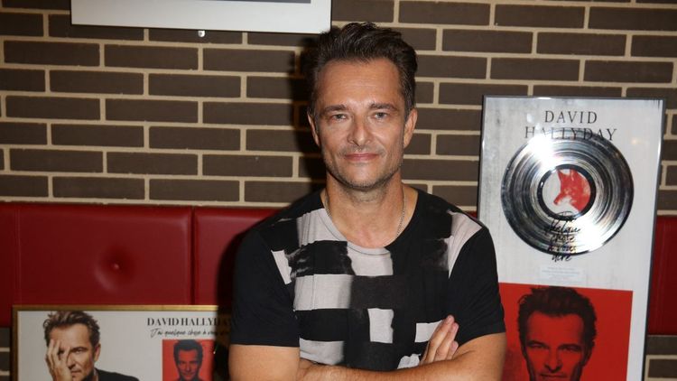 David Hallyday évoque son expérience dans un célèbre dessin-animé Disney : "Je me suis éclaté"