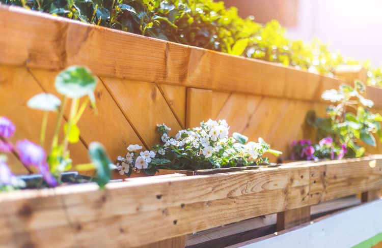 Les 5 signes qui prouvent que vos jardinières sont trop petites pour vos plantes