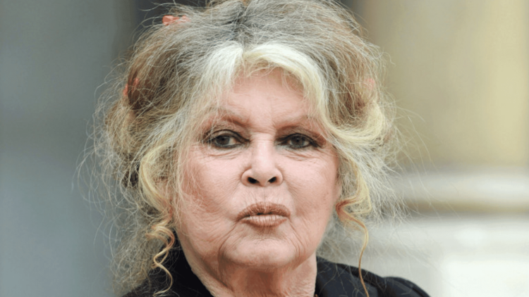 Brigitte Bardot : une star internationale regrette ses hommages à l'actrice !