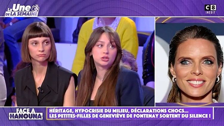 "Cracher dans la soupe", Sylvie Tellier et Nathalie Marquay fracassées par les petites-filles de Geneviève de Fontenay chez Hanouna