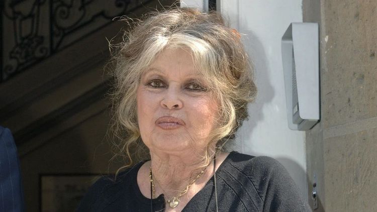 Un fondateur d'une ONG brutalement honnête sur Brigitte Bardot : "Elle a utilisé sa célébrité pour…"