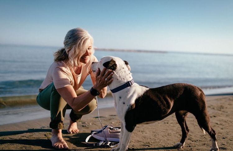 Quelles sont les meilleures plages dog-friendly en France ?