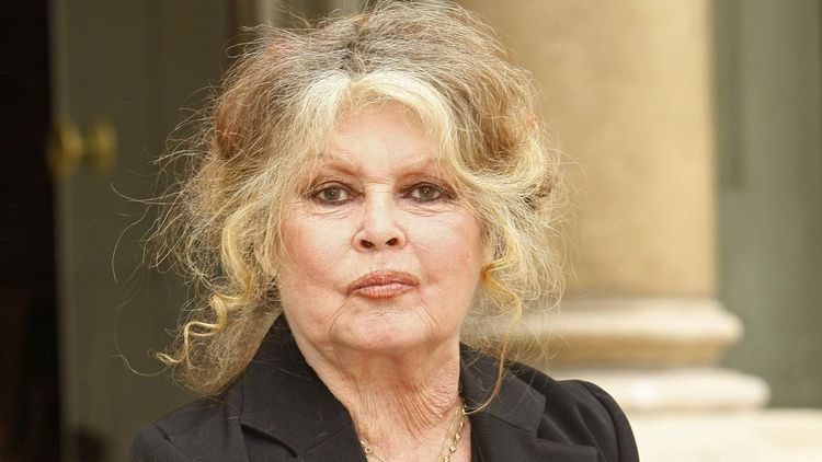 Brigitte Bardot condamnée par la justice : "Je finis toujours par..."