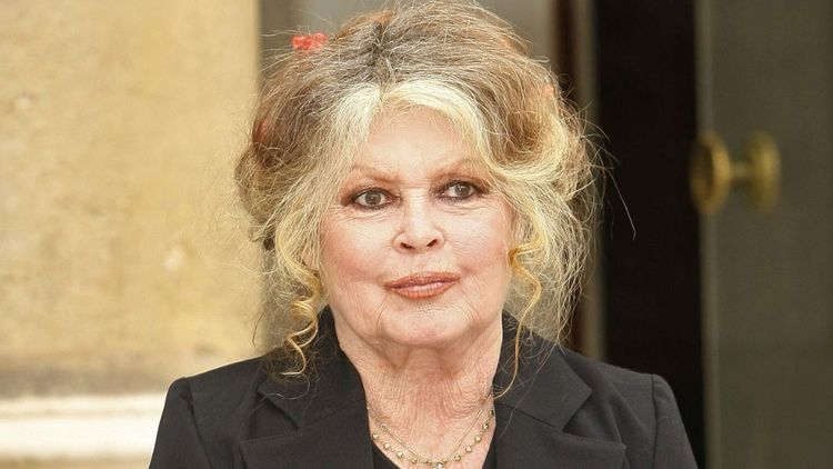 Brigitte Bardot, à 91 ans : une "maladie grave", son état de santé est "préoccupant"