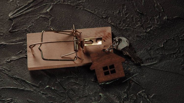 Crédit immobilier : quand les arnaqueurs volent les économies d'une vie