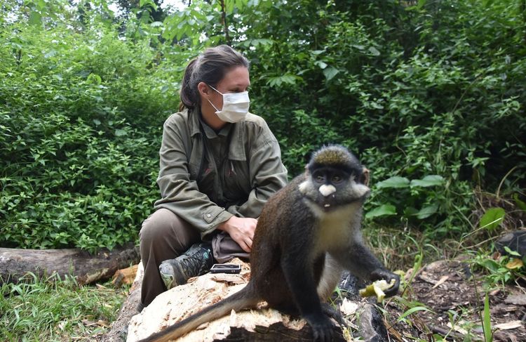 Défier le braconnage : le quotidien d’Amandine Renaud, primatologue en République démocratique du Congo