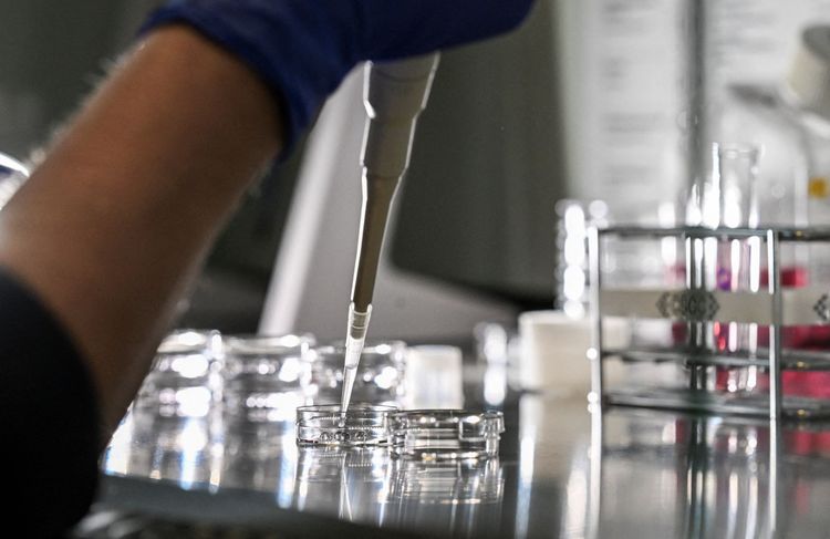Fin des fécondations in vitro avec des dons anonymes : ce qui va finalement changer au 31 mars