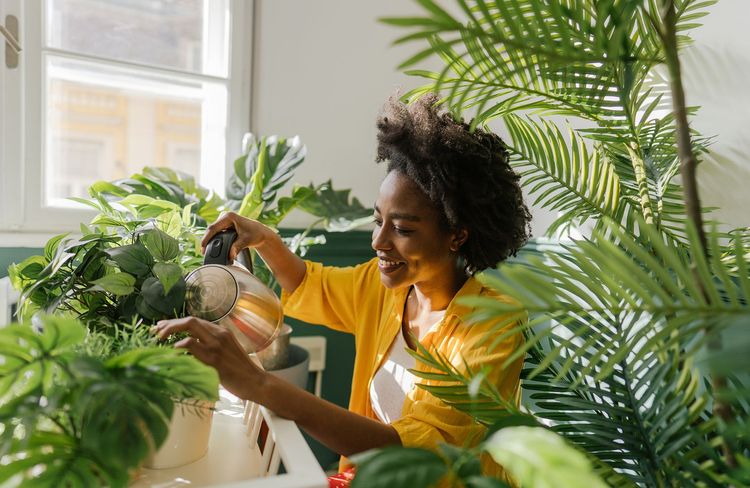 Quel est le meilleur moment de la journée pour arroser ses plantes en été ?