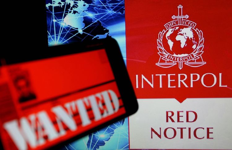 « Identify Me », la campagne d'Interpol qui a permis d’identifier une femme retrouvée morte il y a 20 ans