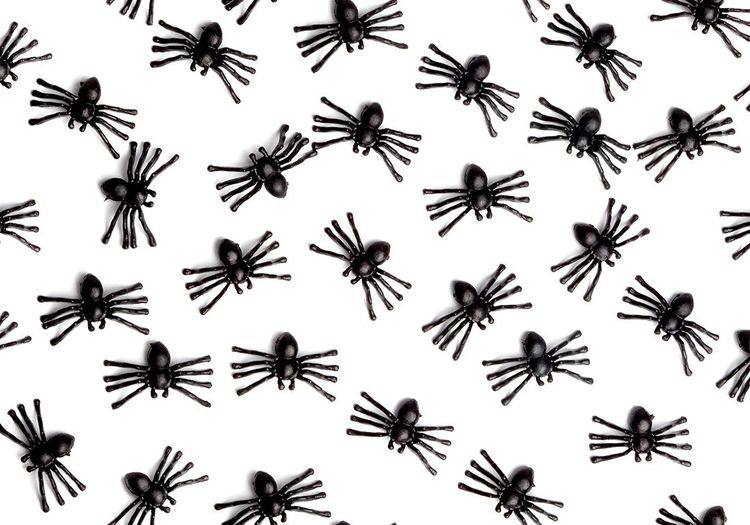 Pourquoi rêve-t-on d'araignées, de fourmis ou de moustiques ? Notre interprétation