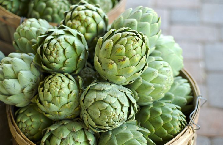 Les artichauts, aussi décoratifs que savoureux