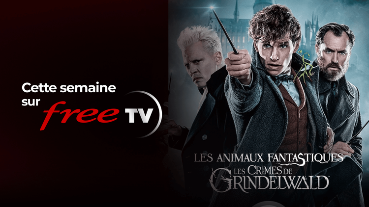 Programme Free TV : du 16 au 22 février 2026 – Les Animaux Fantastiques, La Guerre de Poutine et Forrest Gump