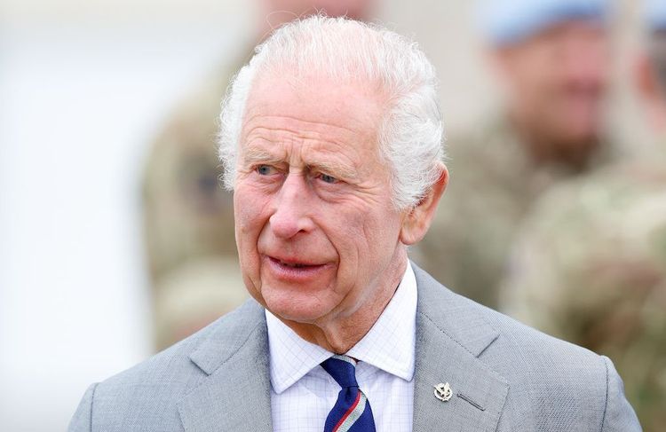 Le palais de Buckingham dévoile un nouveau portrait de Charles III et Internet s’enflamme