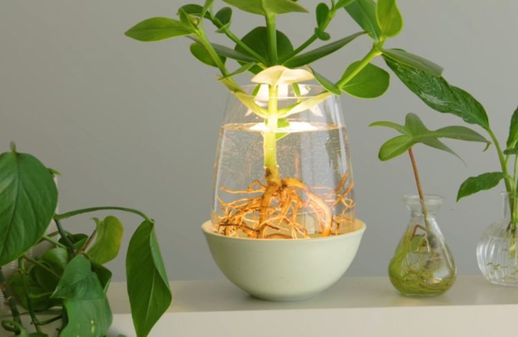 Sans colle ni outil, cet IKEA Hack comblera les amoureux des plantes