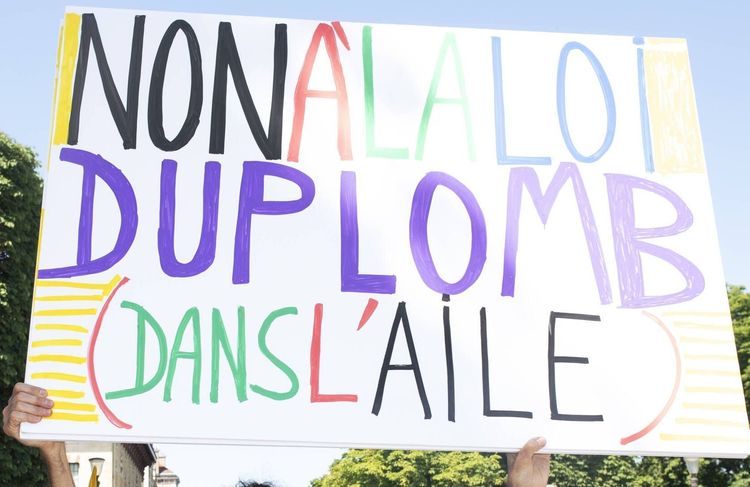 Loi Duplomb : le Conseil constitutionnel censure la réintroduction du pesticide au cœur de la contestation