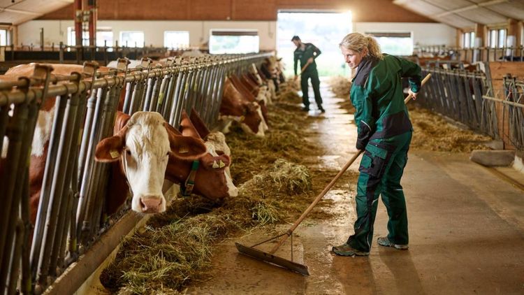 Salaire : combien gagne un agriculteur ?