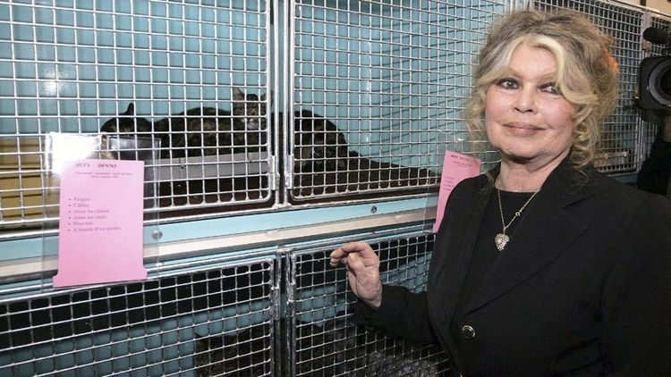 "Il a un côté satanique" : après des années d'admiration, Brigitte Bardot se paie Vladimir Poutine ?